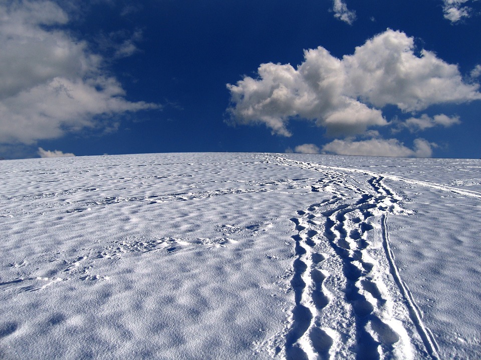 snow-tracks-63988_960_720.jpg